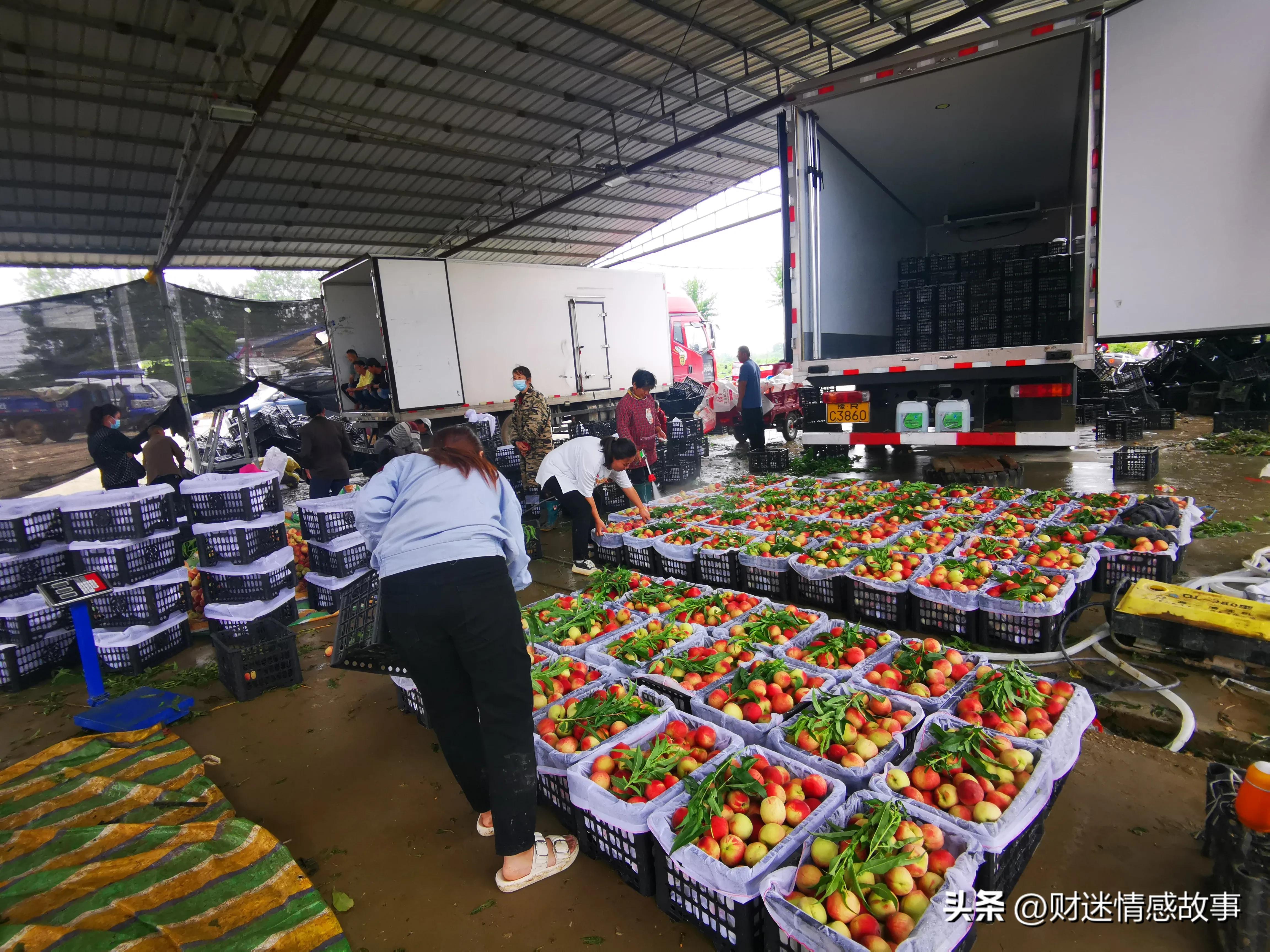 零投资空手套白狼赚钱的方法,0投资赚钱小技巧