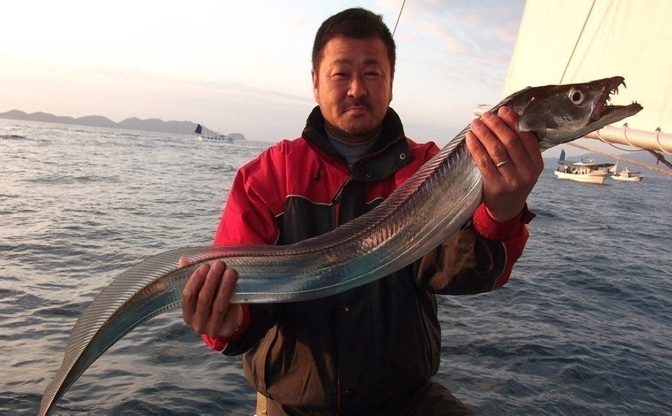 钓鱼技术普及篇,八年钓鱼总结分享给所有钓鱼新手