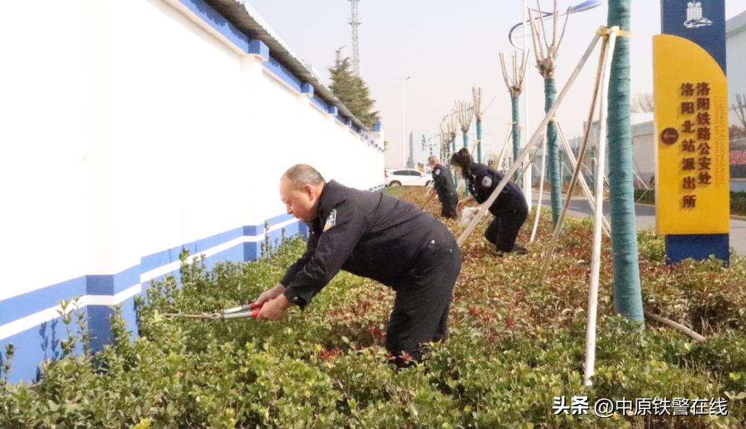 拥抱春天播种希望植树节手抄报,植树节拥抱春天播种梦想主题班会