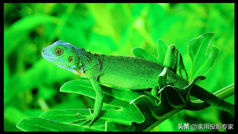 索尼xw5000投影机评测,索尼kvpl-xw5000投影