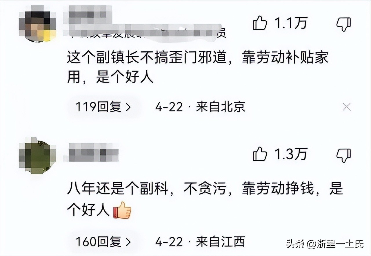 安徽宿迁副镇长开网约车,开网约车的副镇长现状