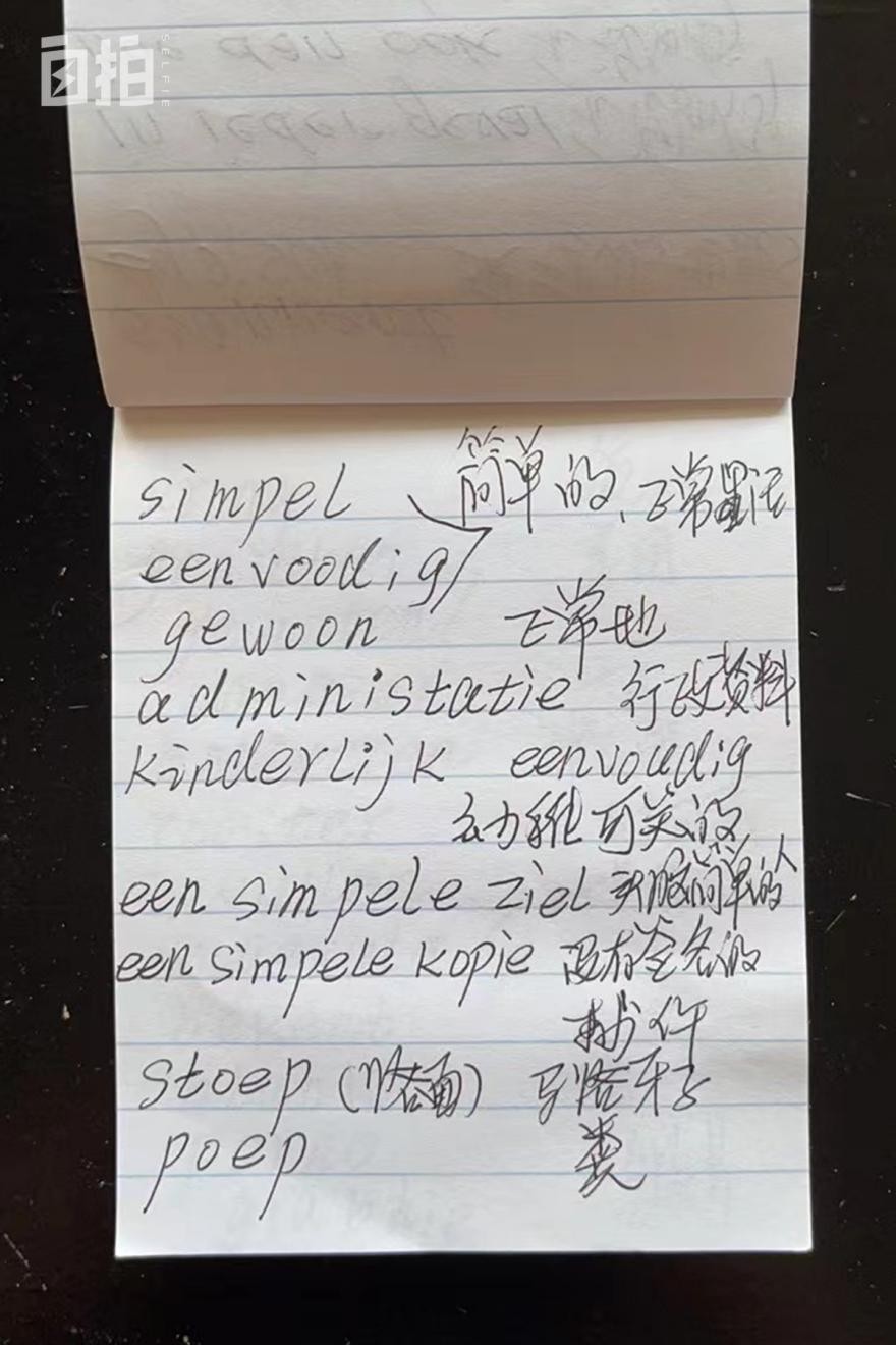 东北女老板年近50出国当保姆,东北女老板年仅50去国外当保姆