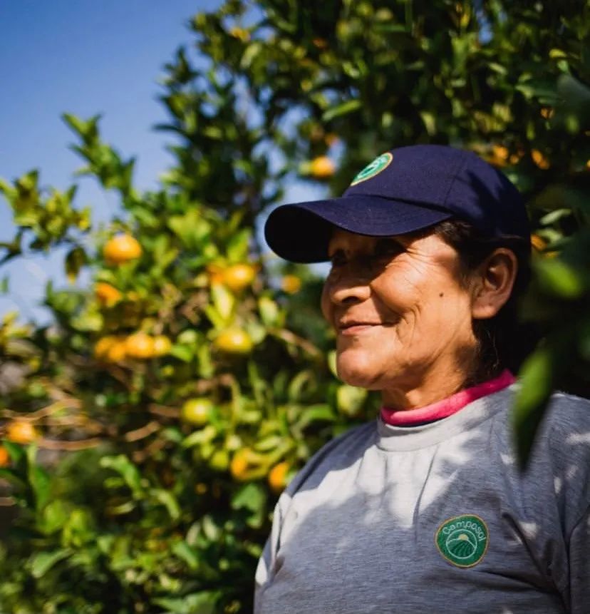 吃蓝莓叶黄素对改善视力有好处吗,吃蓝莓和吃胡萝卜哪个对视力更好