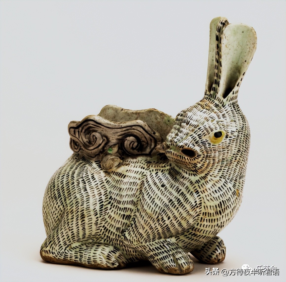 兔年说兔第一段在文中有何作用,兔年说兔说明文