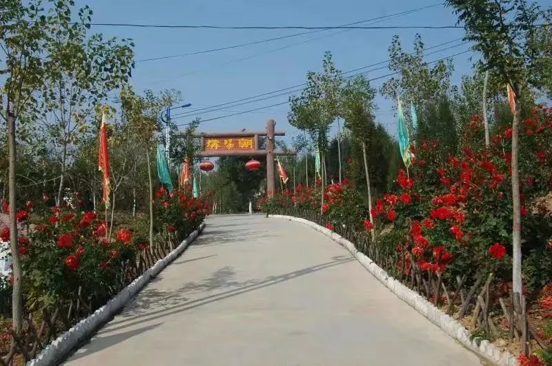 大山里的民宿原生态旅游,浙江藏在大山深处的民宿