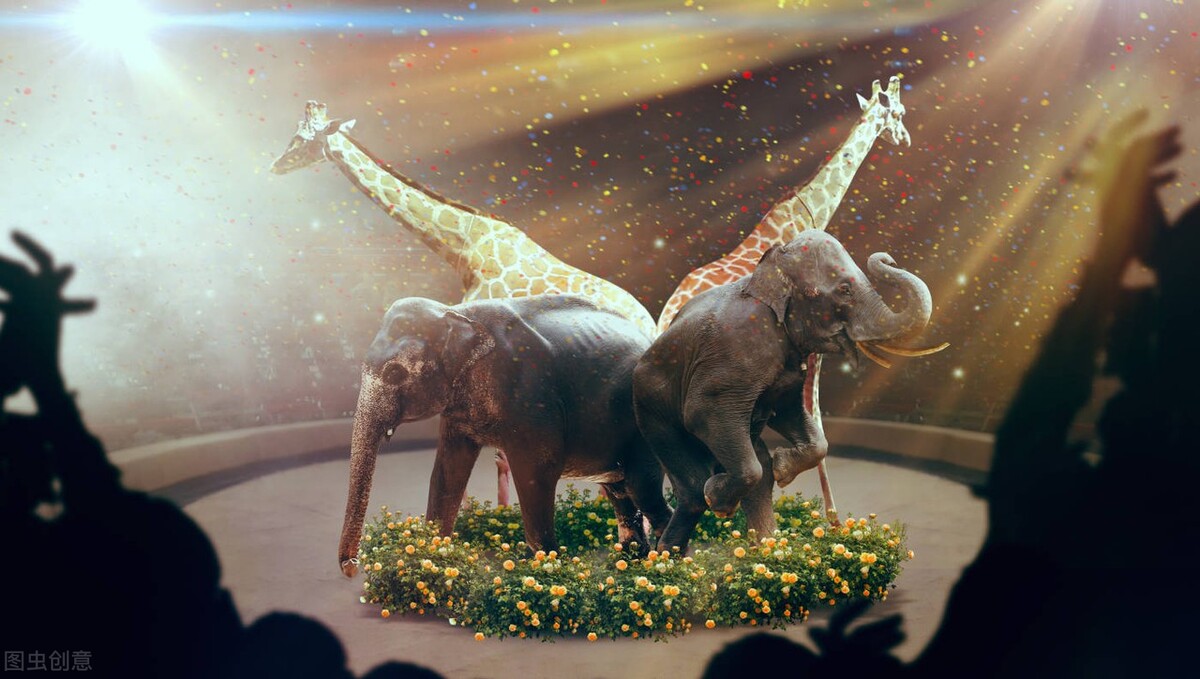 哈哈笑话,哈哈笑话大全免费