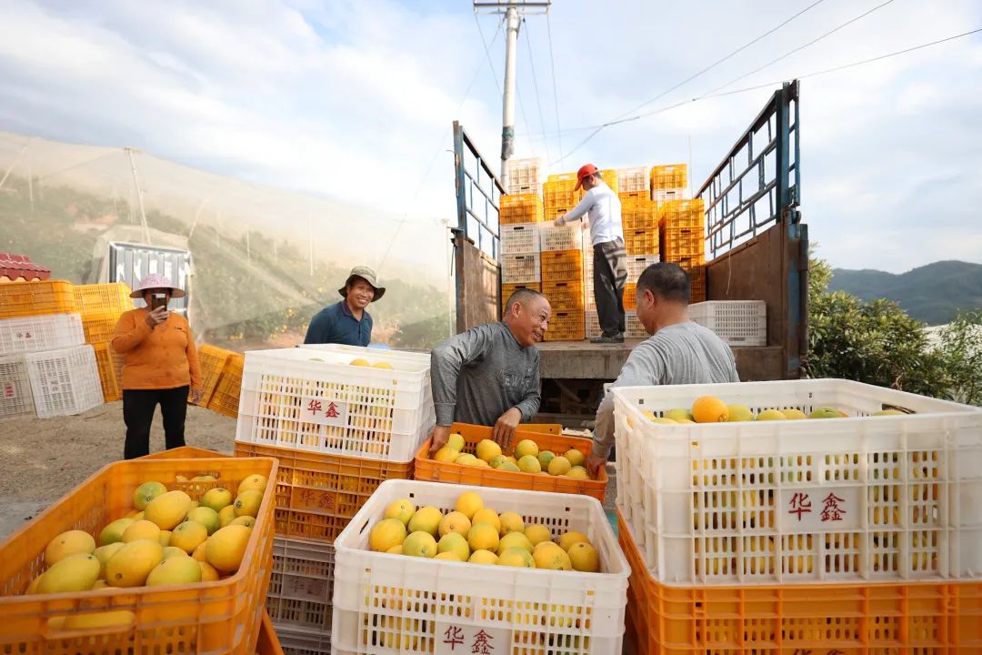 椋為槄娣卞湷41鍛ㄥ勾,椋為槄娣卞湷鏃ュ巻