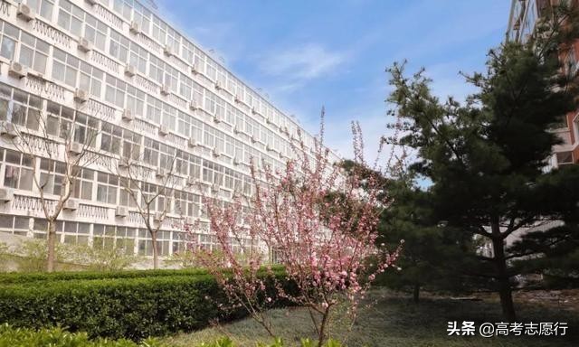 今年华电就业情况,华电能源动力就业前景