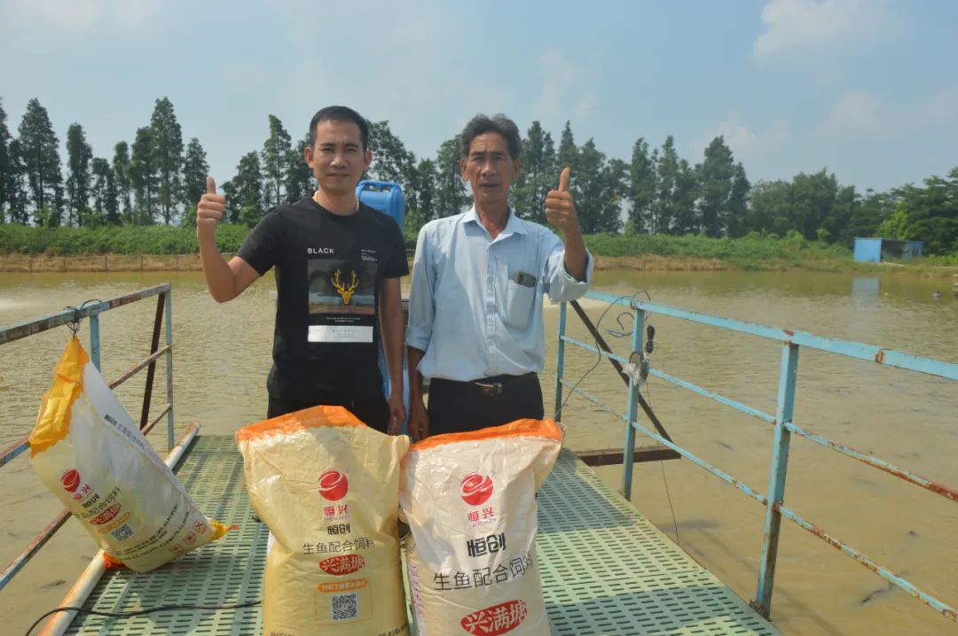 学生党养鱼新手入门技巧,养鱼技术与饲料配方大全