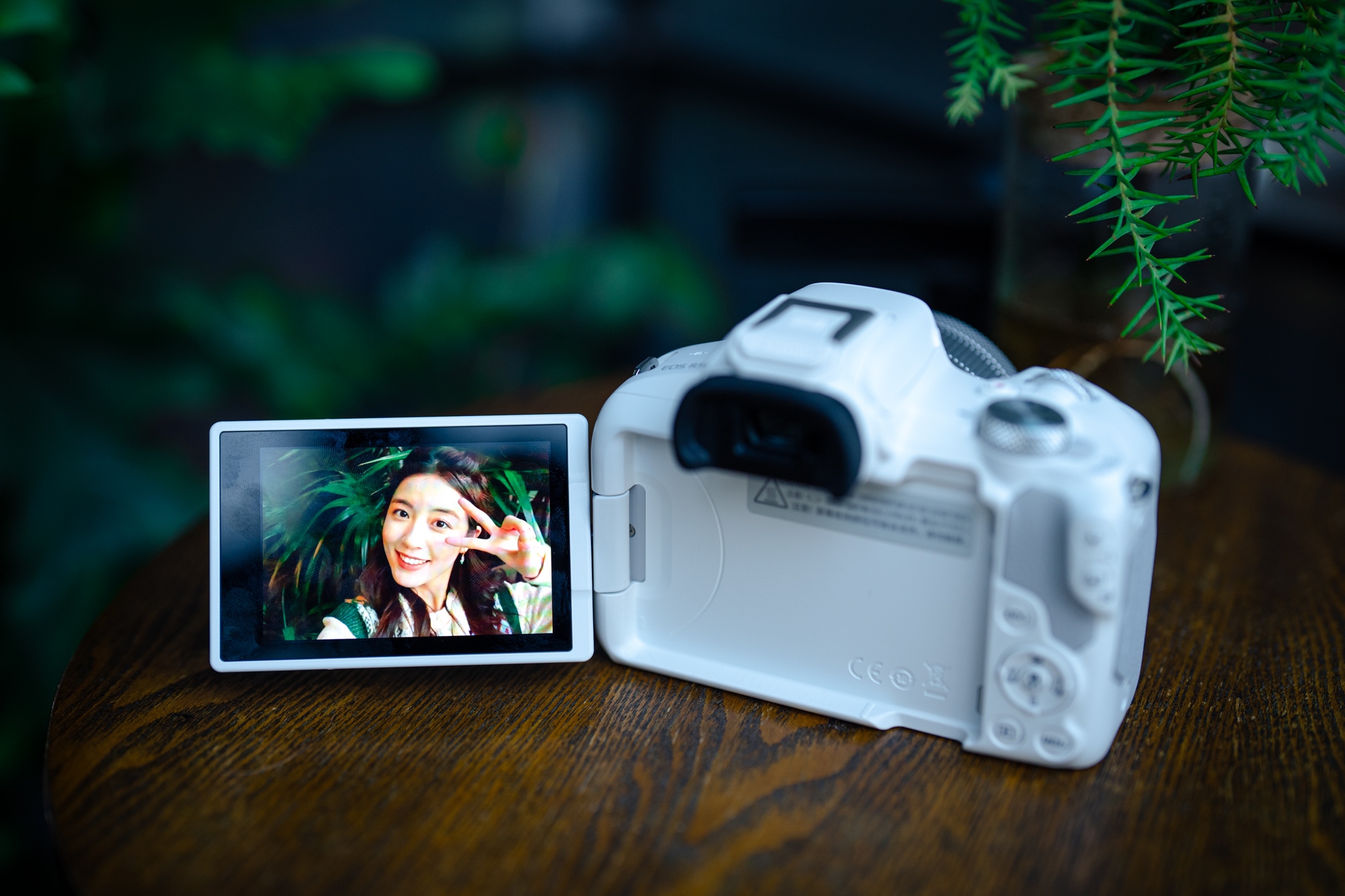 eos佳能轻便小巧,佳能微型相机eos