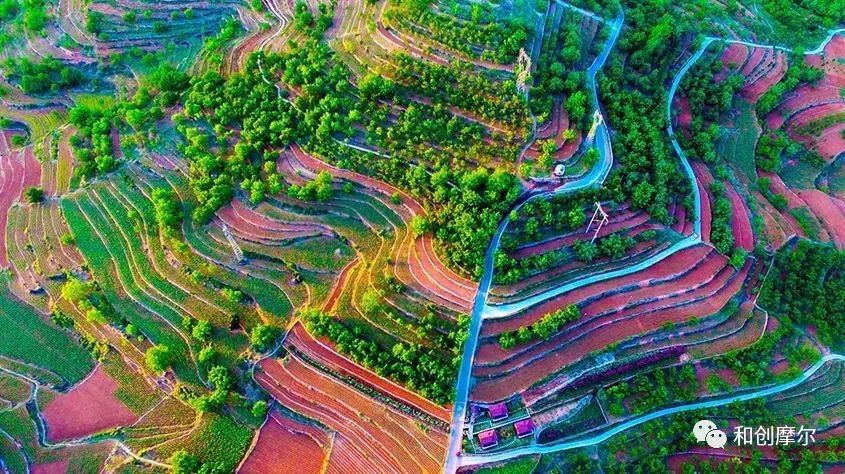 积极探索村集体经济发展模式,探索农村集体经济联合社模式