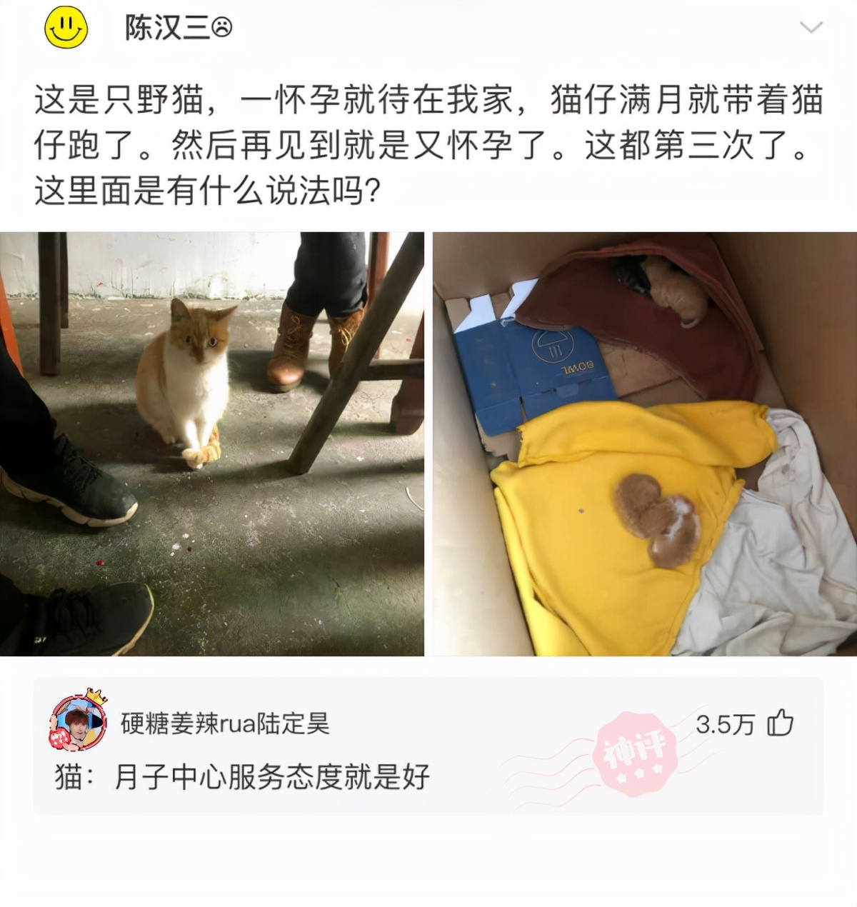 新买的板鞋质量好吗,新买的板鞋气味很重质量好吗