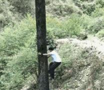 搞笑gif看着都提心吊胆还好没出事,搞笑gif表面稳中带皮实则慌中带急