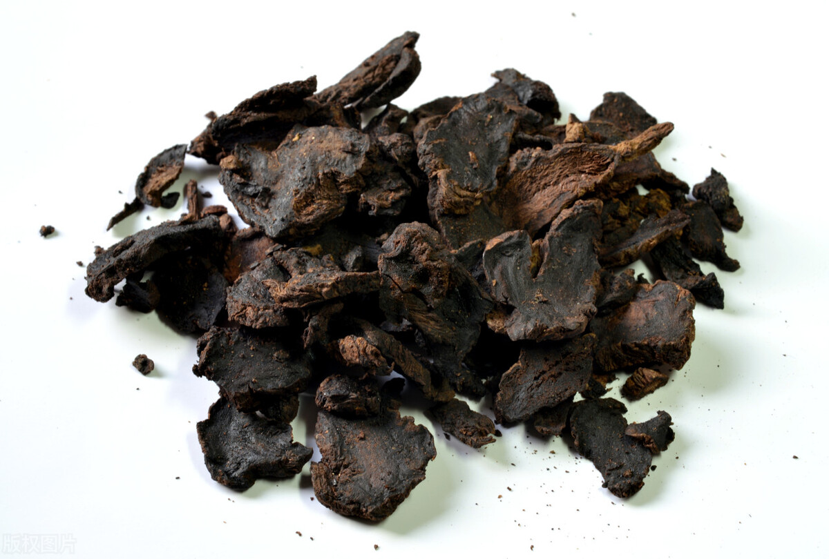 农村土地种什么赚钱,全国农村闲散土地有多少