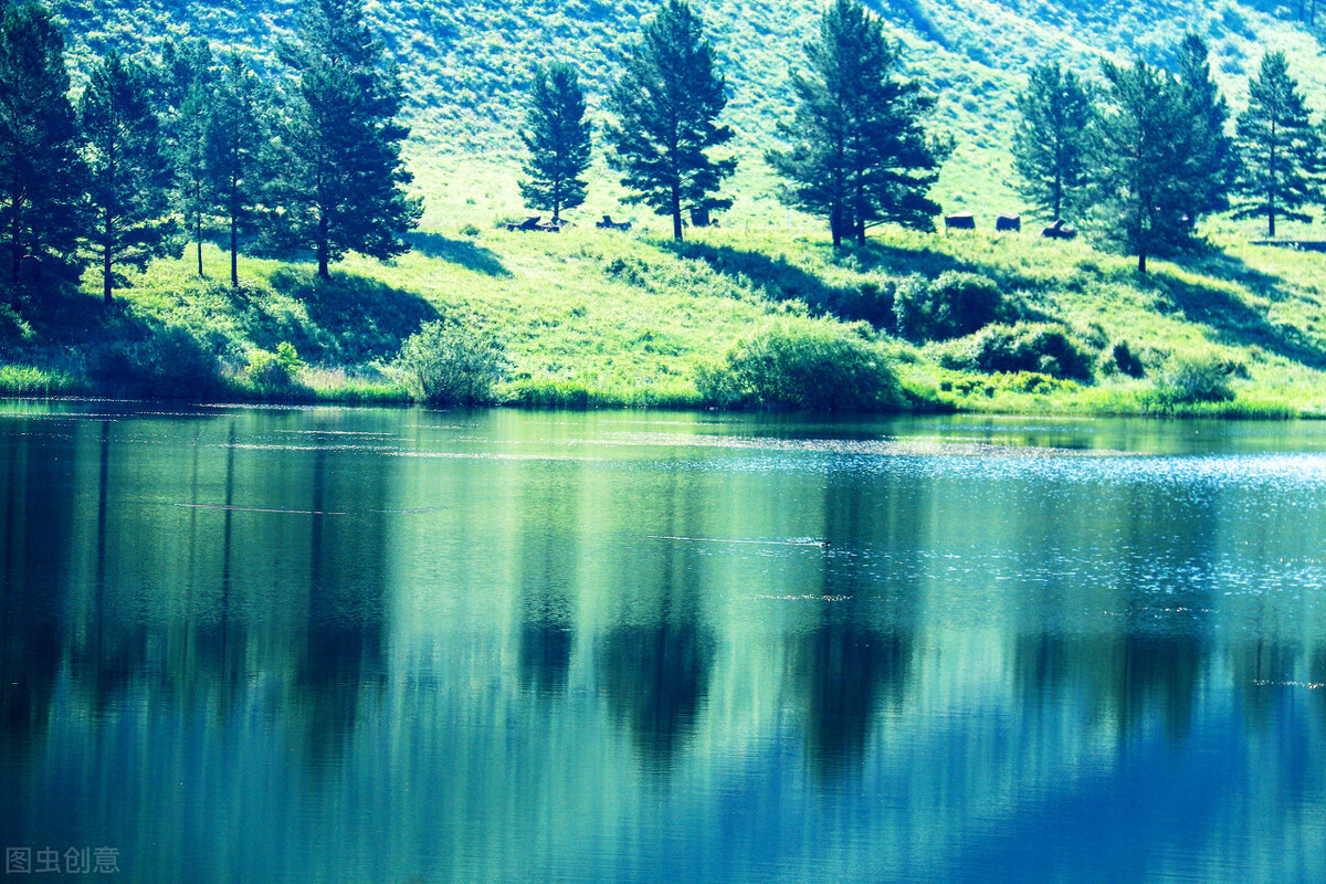 工业节能降碳绿色发展,工业绿色转型与碳减排