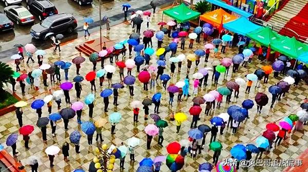 核酸公司股票大跌，希望这些行业死的透透的，千万不能死灰复燃