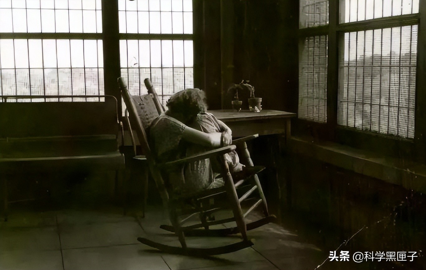 伊丽莎白精神病院讲解,圣伊丽莎白精神病院什么样