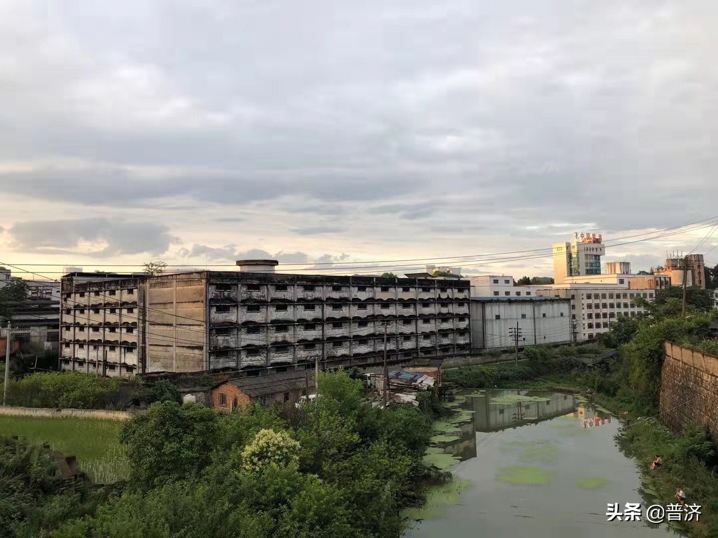 老酒骗局最新消息,老酒真的越老越好吗