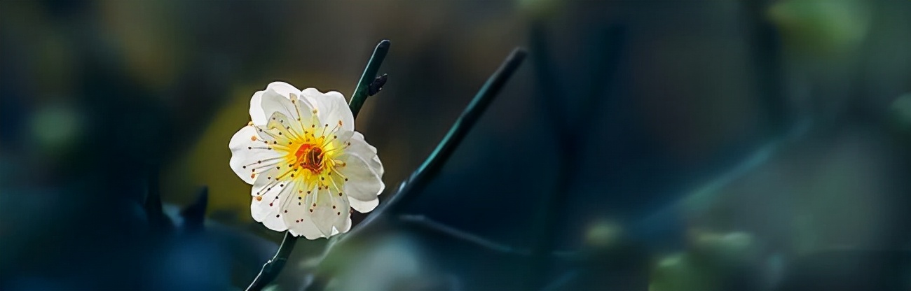 岁月漫长抵不过热情澎湃,岁月漫长仍值得等待