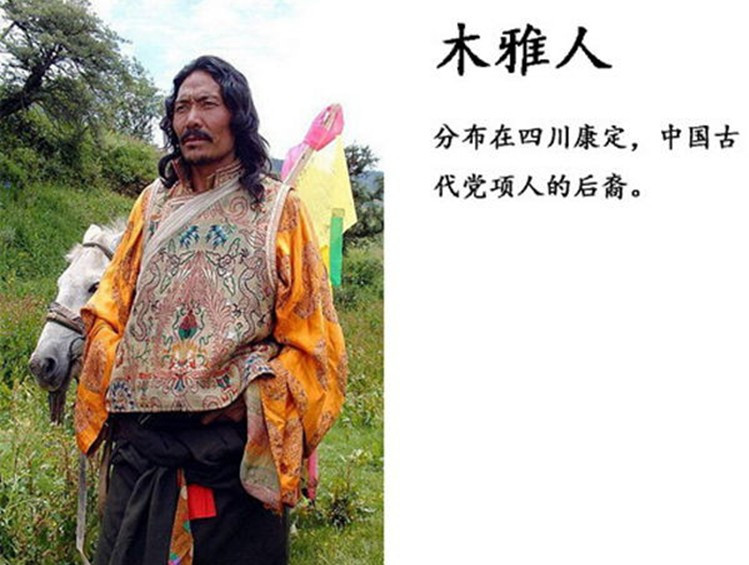 56个民族以外的中国45个人数更少的民族