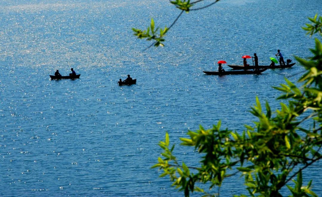 到咸宁看国宝过大年,离家45年的国宝回湖北咸宁过年