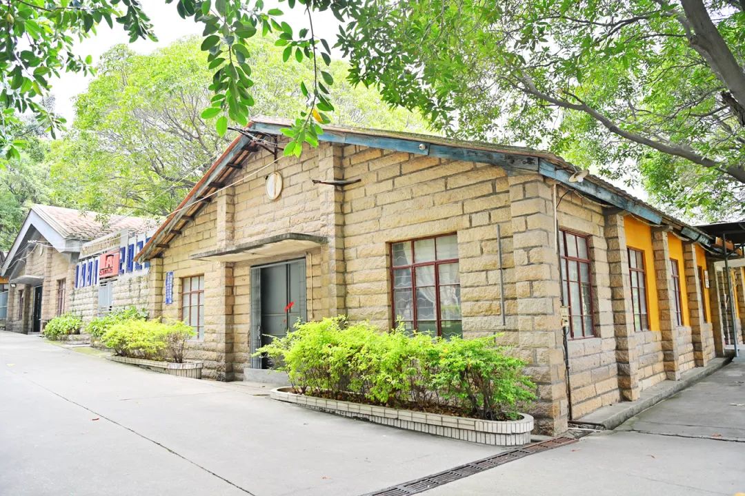 南安记忆|一枝“花”开出满园香！全国首家非公企业*党**组织成立后……