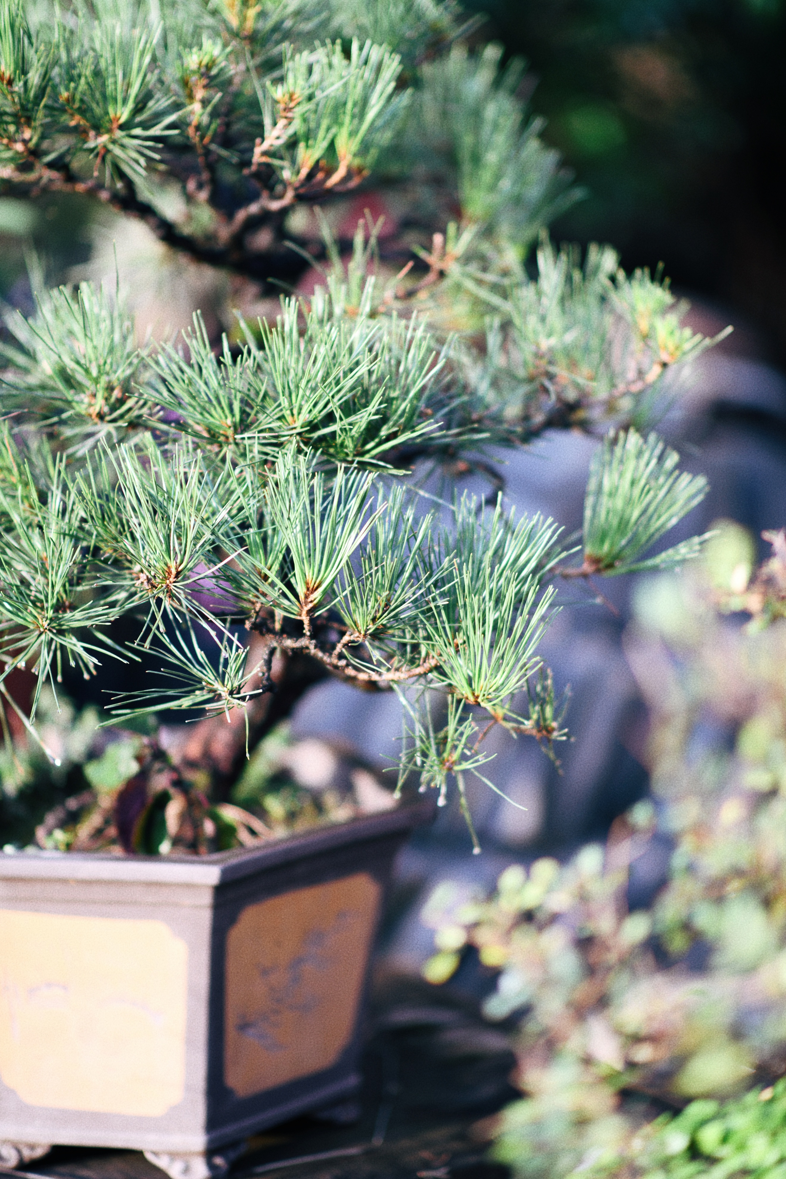 界石见山空谷民宿,巴南界石世外桃源