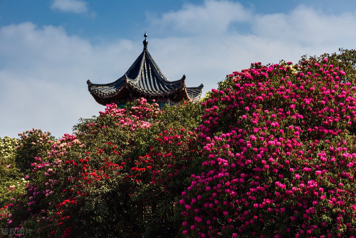 10首春游诗词看古人春天有多浪漫,十首最美春日诗词邂逅最美春愁