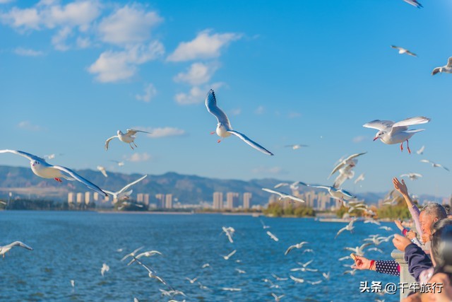 云南10个神奇景点攻略,云南丽江打卡必去景点