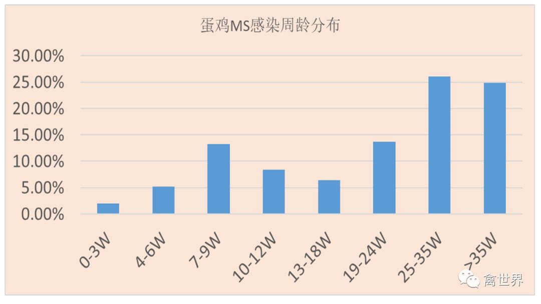 大数据｜2019年-2022年4月我国鸡滑液囊支原体流行病学调查报告