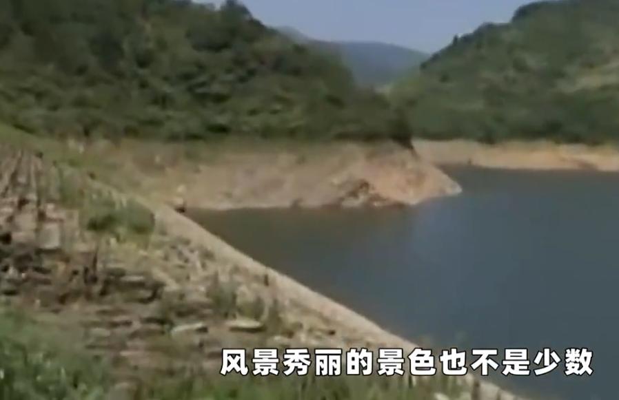 广东神秘小山村只生男孩,广东小村庄只生男不生女