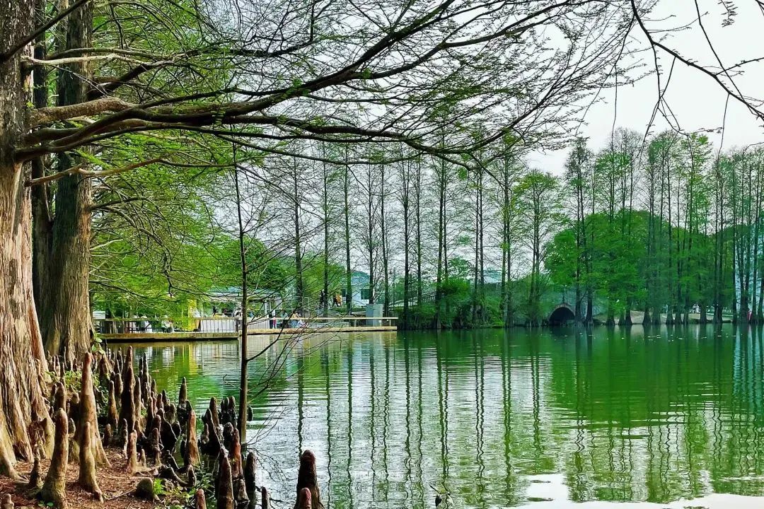 特种兵旅游第一人,八泉峡特种兵旅游攻略