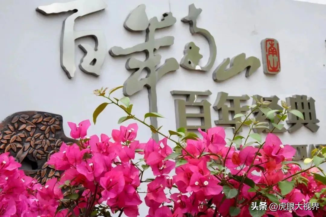 南山中学初中部怎么样,南山中学实验学校校门口