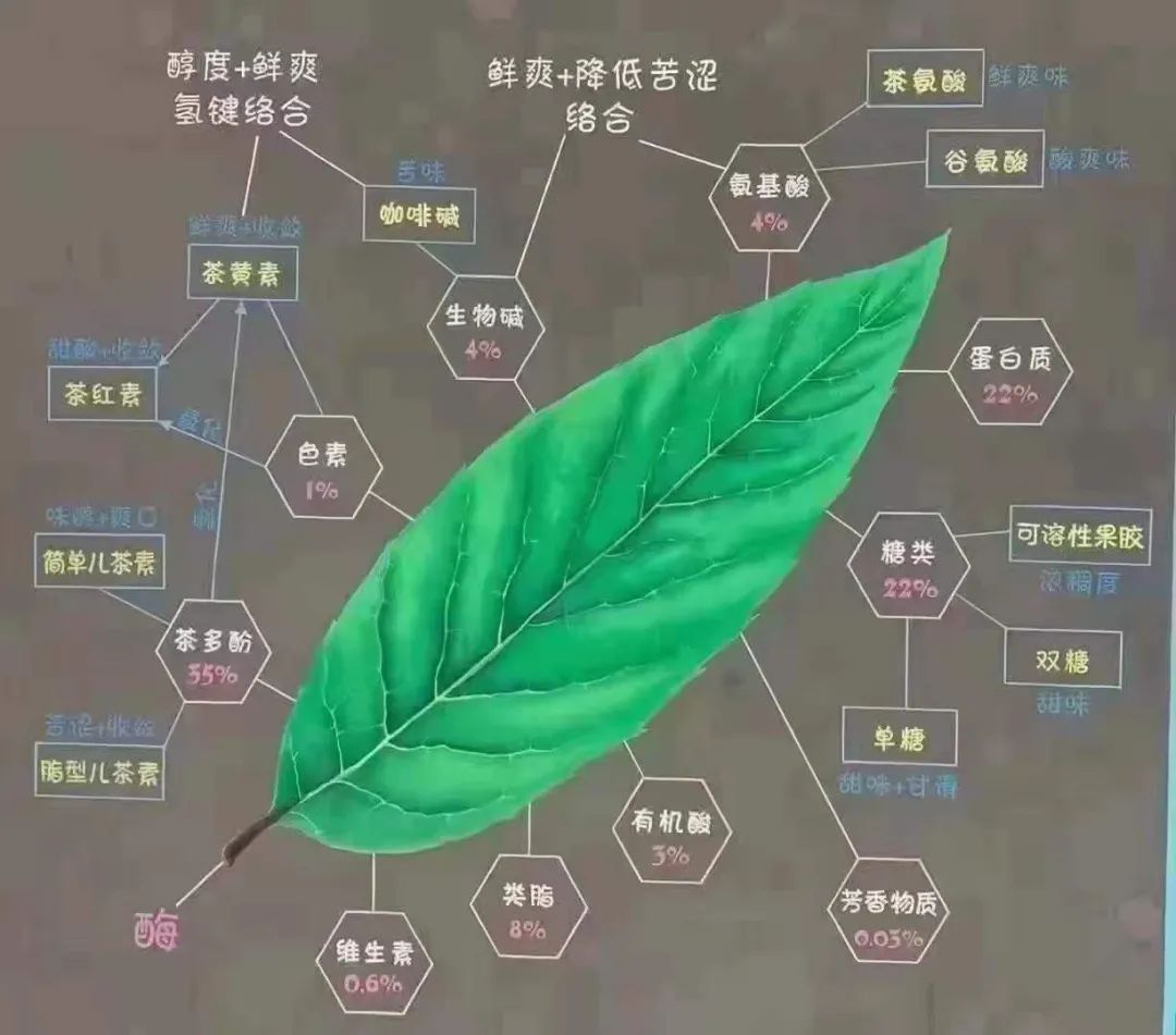 茶是什么意思,茶是什么颜色