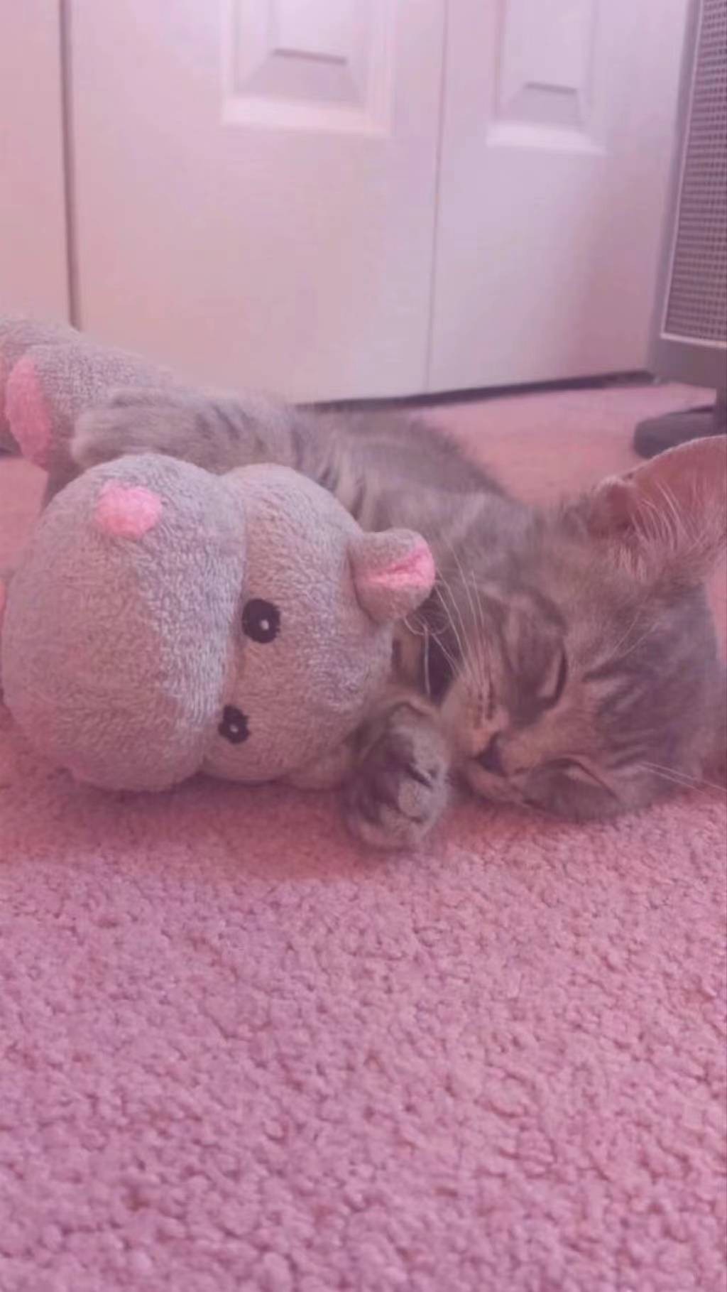 微信聊天背景图简约纯色护眼,好看微信聊天背景图仙气