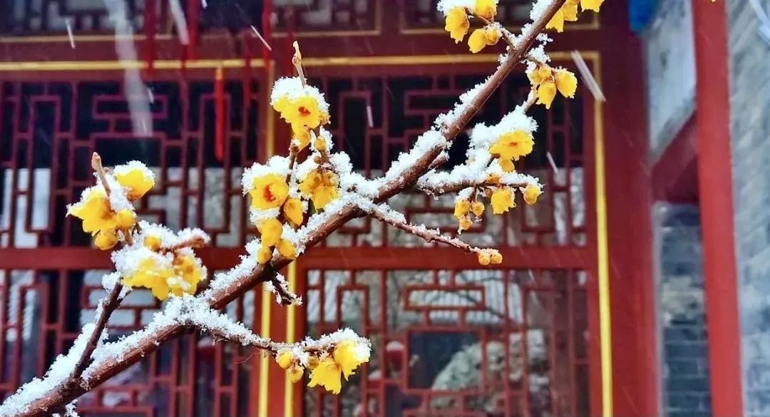 石家庄下雨哪里风景最美,石家庄冬季风景好的地方