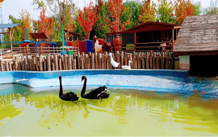 这条精品线路是打开幸福之旅的密码