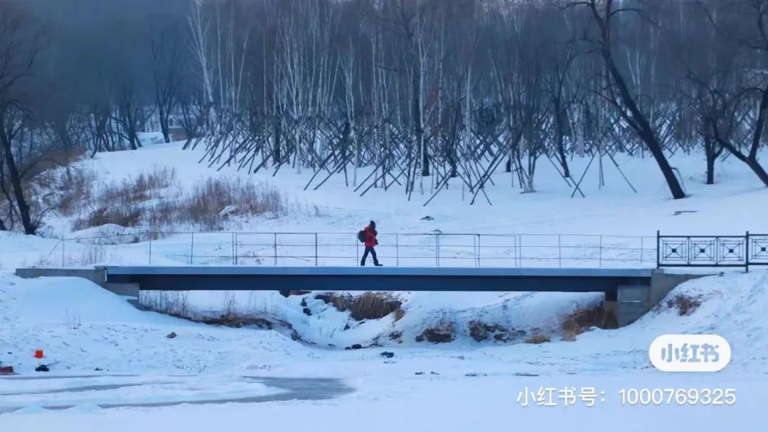 50块钱逛遍大连,50块钱逛沈阳