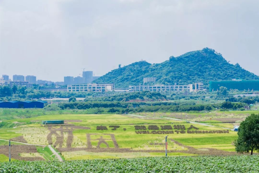 深圳最好玩的十个地方,深圳光明小镇欢乐田园好玩吗