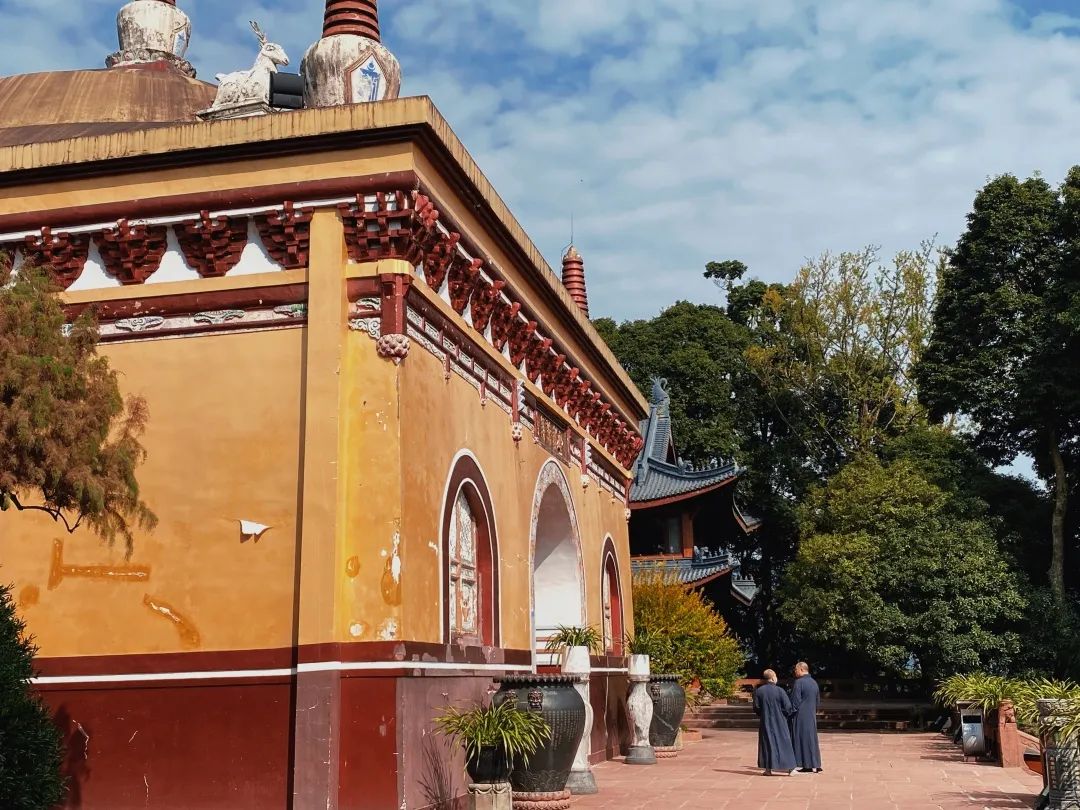 峨眉山毕业旅行主题,大学生独游峨眉山