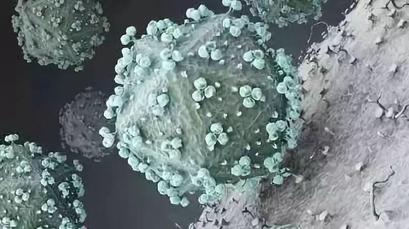 哪些疾病可以通过性传播,可以通过性传播的疾病