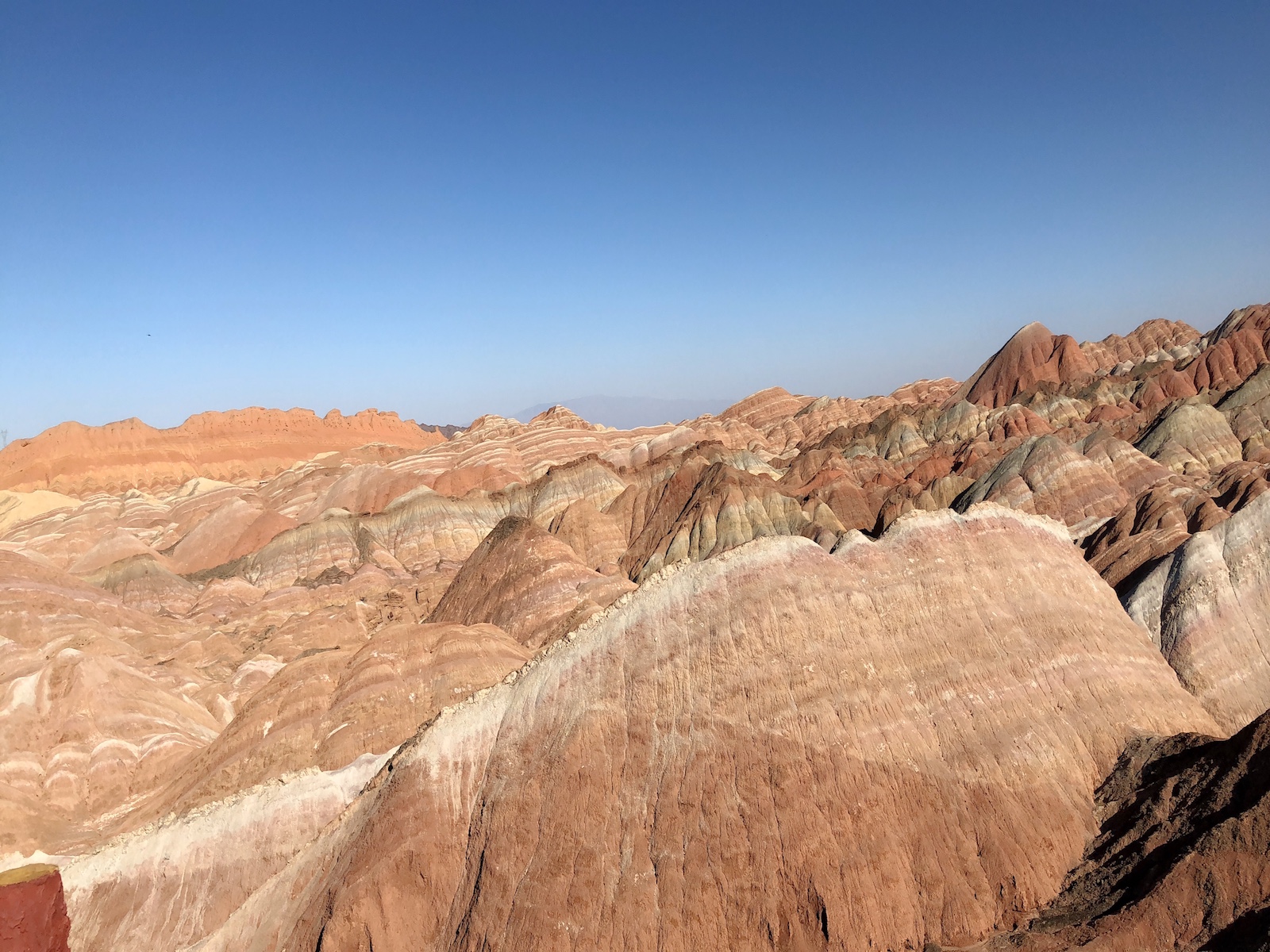 北京自驾额济纳胡杨林十天攻略,从北京到额济纳胡杨林线路