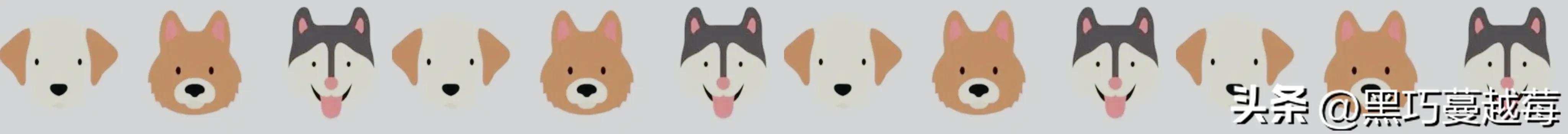 披星戴月来见你——网购宠物的千层套路