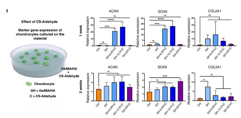 浙大研发新型涂层材料,浙大新型保温涂料