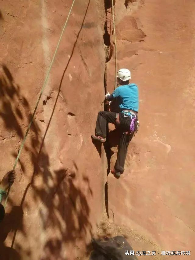 获得双料冠军,祝贺蝉联