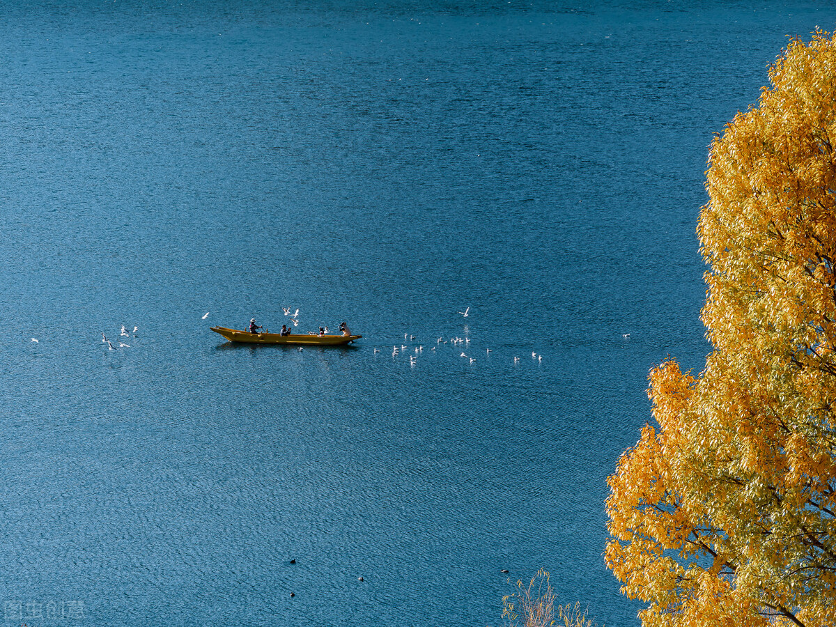 狮子座女生和天秤座男生配对指数,与狮子座男生交往的禁忌