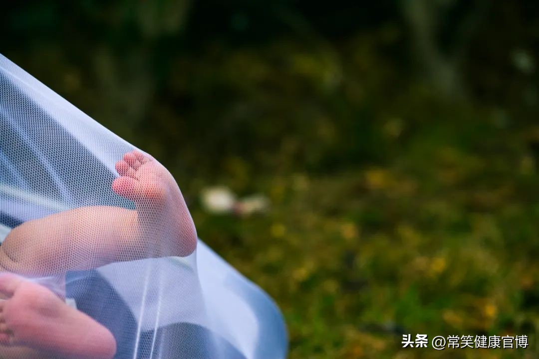 蚊子为什么喜欢独宠,为什么蚊子只宠爱一个人