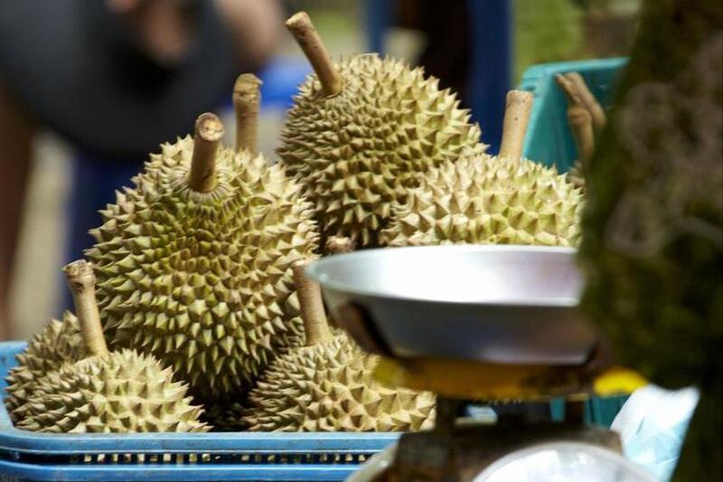 榴莲水果之王是真的吗,为什么水果中榴莲价格会很高