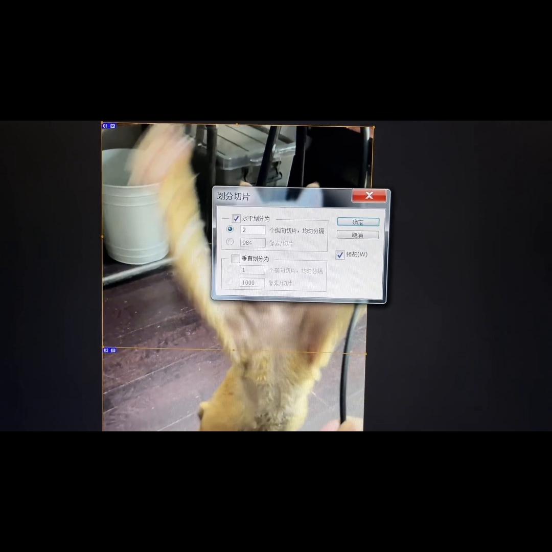 图片分割四份在一起的视频教程,怎么在回复里引用视频链接