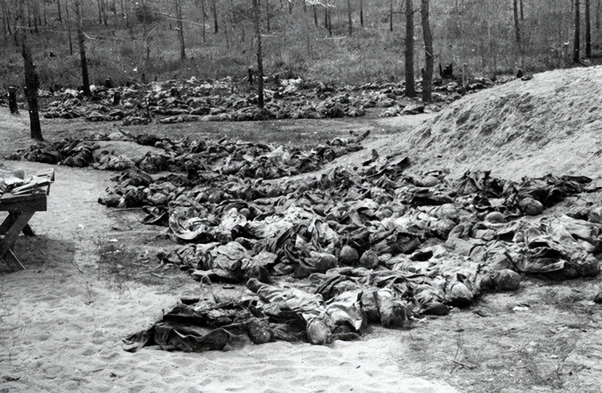 纳粹时期希特勒残害的对象都有谁？大*杀屠**的受害者只有犹太人吗？